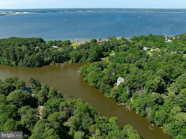 12987 Holly Way, Lusby, MD 20657 - view of property location featuring a large body of water and a forest