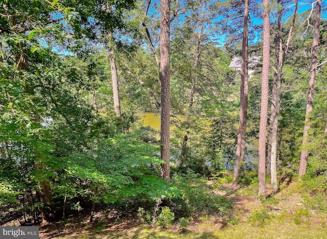 12987 Holly Way, Lusby, MD 20657 - view of woods