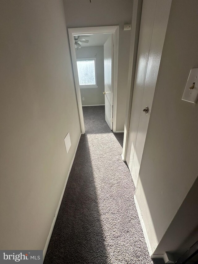 1730 Fountain Rock Way Unit 1730-C, Edgewood, MD 21040 - hall with carpet and baseboards