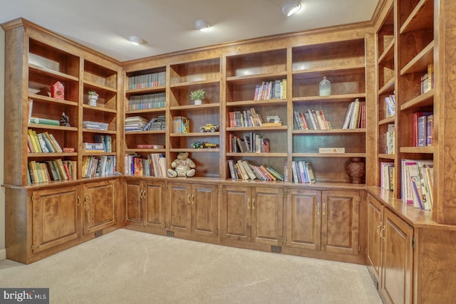 6 Blue Heron Dr, Georgetown, DE 19947 - unfurnished room featuring light colored carpet and bookshelves