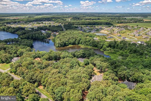 6 Blue Heron Dr, Georgetown, DE 19947 - aerial view of property's location featuring a nearby body of water and a heavily wooded area