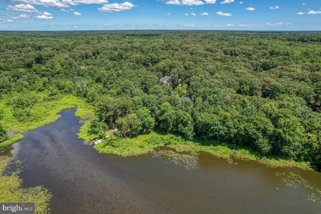 6 Blue Heron Dr, Georgetown, DE 19947 - aerial view of a heavily wooded area and a large body of water