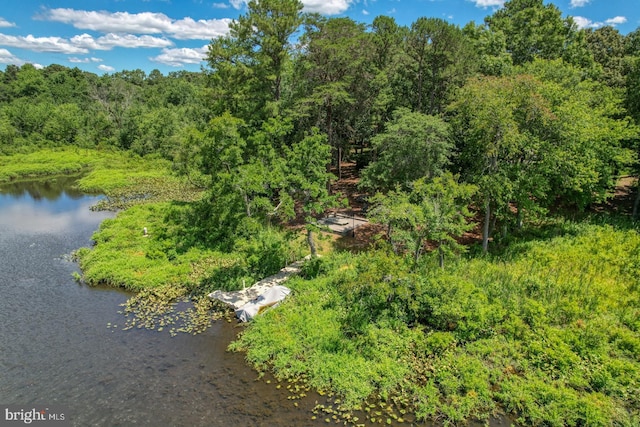 6 Blue Heron Dr, Georgetown, DE 19947 - drone / aerial view of a large body of water and a forest