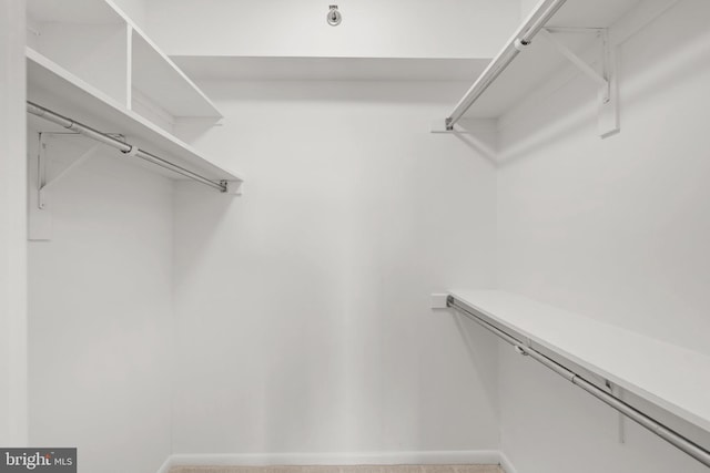 5501 Seminary Rd Unit 407S, Falls Church, VA 22041 - view of spacious closet
