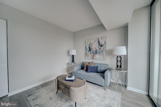 5300 Holmes Run Pkwy Unit 709, Alexandria, VA 22304 - living room with wood finished floors