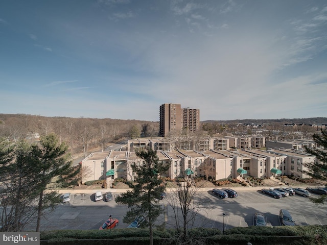 5300 Holmes Run Pkwy Unit 709, Alexandria, VA 22304 - city view