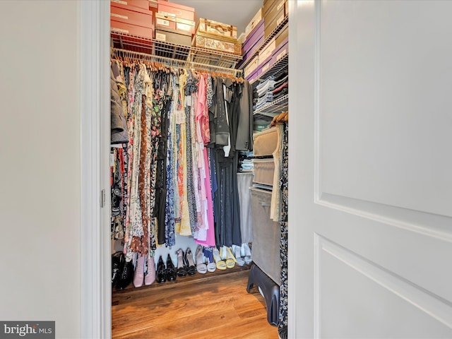 42 Bissenden Way, Reinholds, PA 17569 - walk in closet with wood finished floors