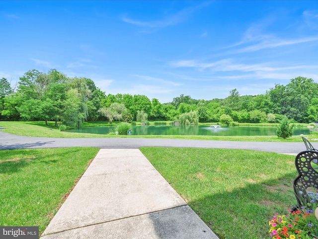42 Bissenden Way, Reinholds, PA 17569 - view of grassy yard featuring a water view