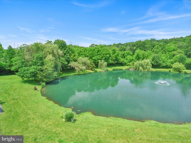 42 Bissenden Way, Reinholds, PA 17569 - water view with a heavily wooded area