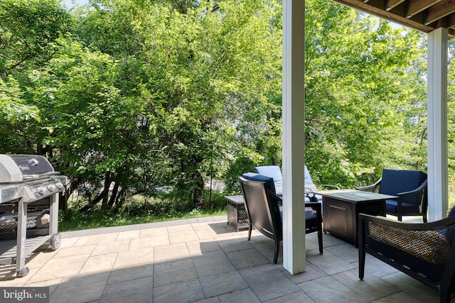 6006 Charles Xing, Ellicott City, MD 21043 - view of patio / terrace featuring grilling area