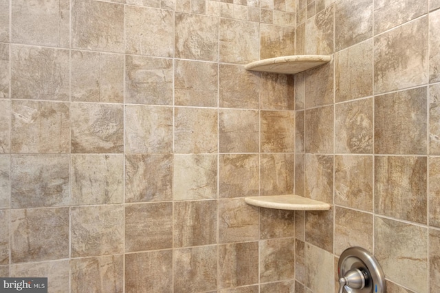 1510 N Bay Shore Dr, Milton, DE 19968 - bathroom view of a shower