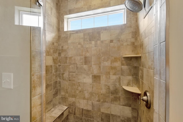 1510 N Bay Shore Dr, Milton, DE 19968 - full bath with a tile shower