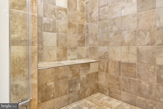 1510 N Bay Shore Dr, Milton, DE 19968 - bathroom view of a tile shower