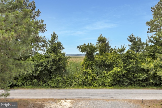 1510 N Bay Shore Dr, Milton, DE 19968 - view of asphalt road