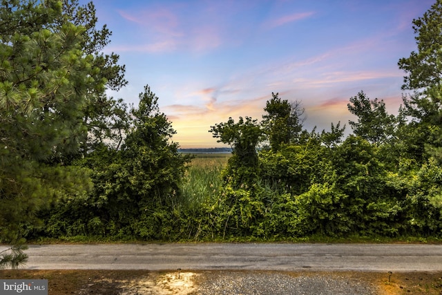 1510 N Bay Shore Dr, Milton, DE 19968 - water view