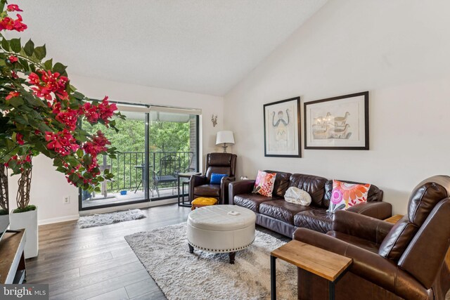 15301 Beaverbrook Ct Unit 92-3K, Silver Spring, MD 20906 - living room featuring wood finished floors and high vaulted ceiling