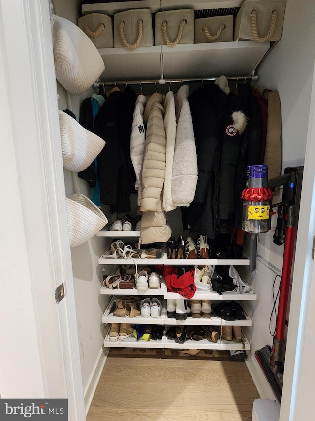 1650 Silver Hill Dr Unit 1608, Mclean, VA 22102 - view of closet