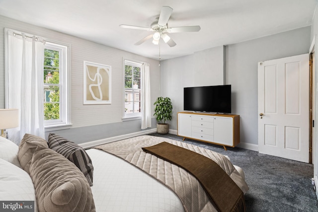 6022 Mccallum St, Philadelphia, PA 19144 - carpeted bedroom featuring multiple windows and a ceiling fan