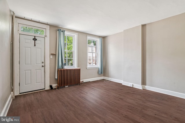6022 Mccallum St, Philadelphia, PA 19144 - entrance foyer featuring radiator heating unit, dark wood finished floors, and healthy amount of natural light