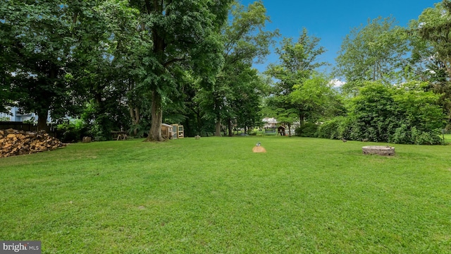 1226 Brownsville Rd, Feasterville Trevose, PA 19053 - view of grassy yard featuring an outdoor fire pit and view of scattered trees