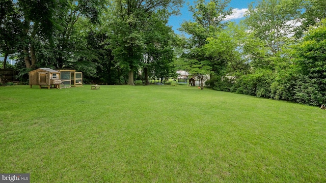 1226 Brownsville Rd, Feasterville Trevose, PA 19053 - view of grassy yard featuring exterior structure and an outdoor structure