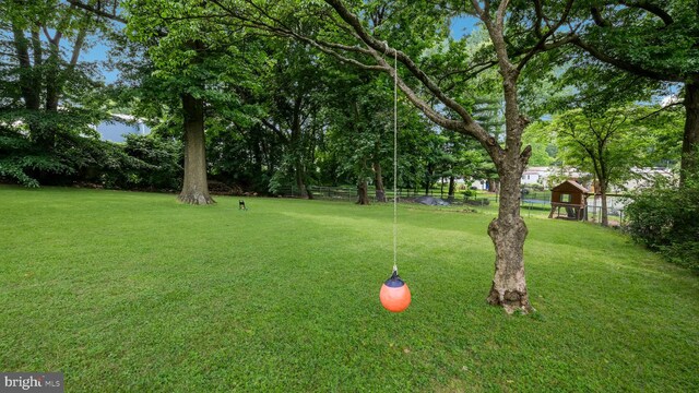 1226 Brownsville Rd, Feasterville Trevose, PA 19053 - view of yard