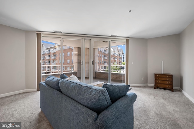 100 Harborview Dr Unit 212, Baltimore, MD 21230 - living area featuring carpet floors and healthy amount of natural light