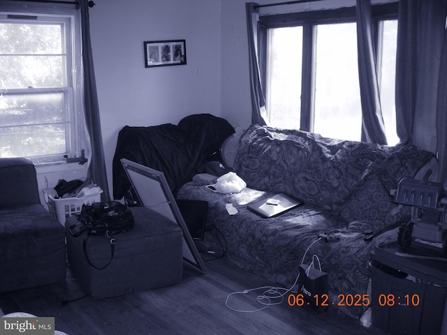 63 N Main St, Quakertown, PA 18951 - bedroom with wood finished floors and multiple windows