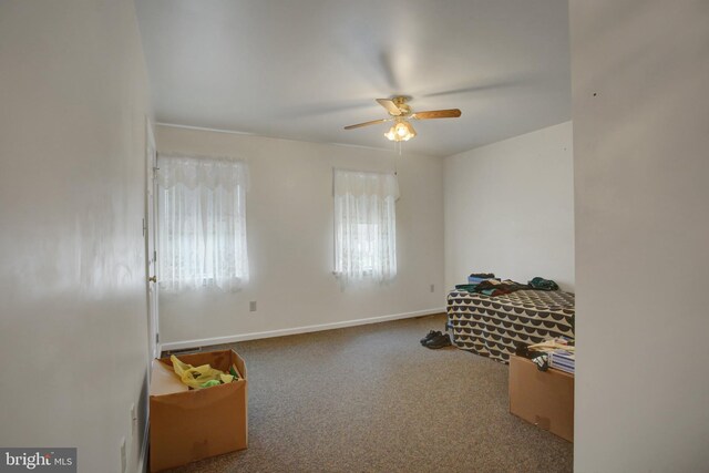 8029 Molly Pitcher Hwy, Shippensburg, PA 17257 - unfurnished room with ceiling fan and carpet flooring