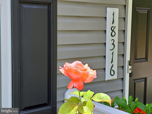 18316 Reaper Hill Ct, Triangle, VA 22172 - exterior view