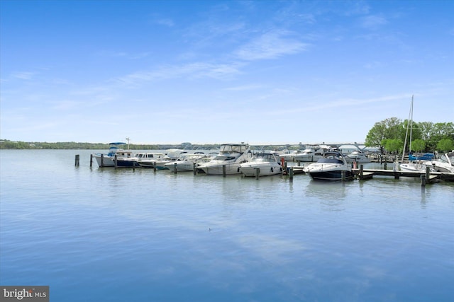 733 S Fayette St, Alexandria, VA 22314 - dock area with a water view