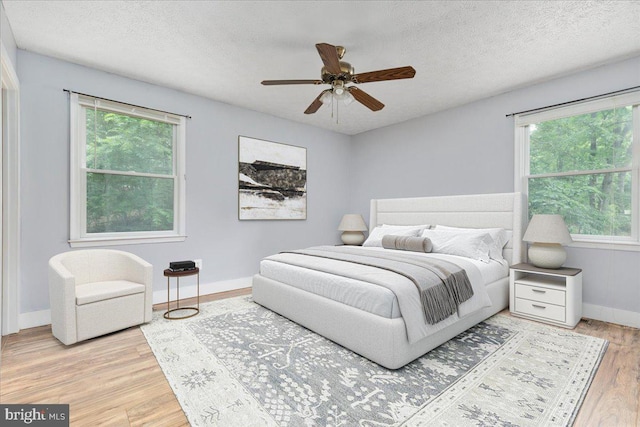 237 Lakeview Dr, Cross Junction, VA 22625 - bedroom with multiple windows, wood finished floors, a textured ceiling, and ceiling fan