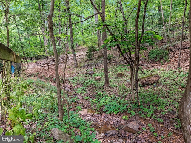237 Lakeview Dr, Cross Junction, VA 22625 - view of local wilderness