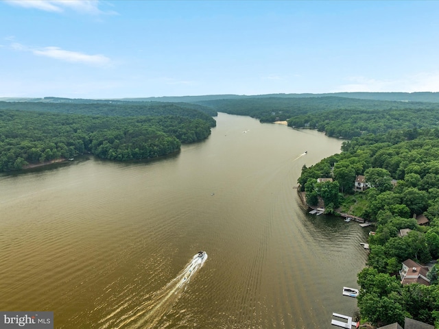 237 Lakeview Dr, Cross Junction, VA 22625 - drone / aerial view of a large body of water