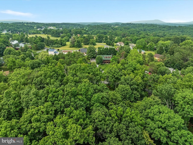 237 Lakeview Dr, Cross Junction, VA 22625 - aerial overview of property's location with a forest