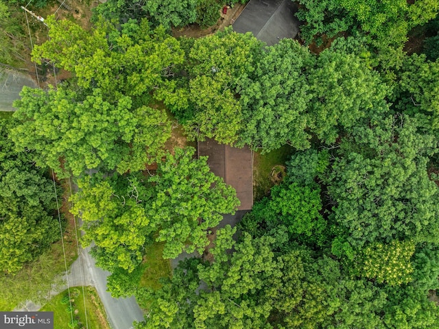 237 Lakeview Dr, Cross Junction, VA 22625 - view of property location
