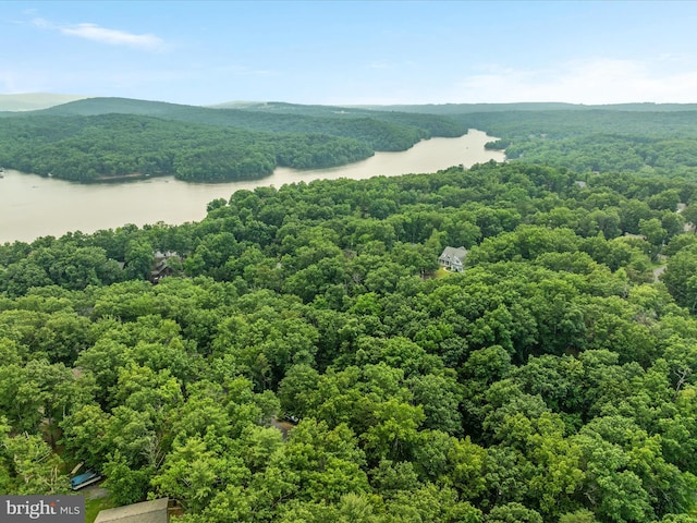 237 Lakeview Dr, Cross Junction, VA 22625 - aerial view of a nearby body of water and a heavily wooded area