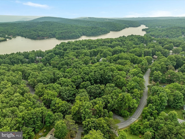 237 Lakeview Dr, Cross Junction, VA 22625 - aerial view of a water and mountain view