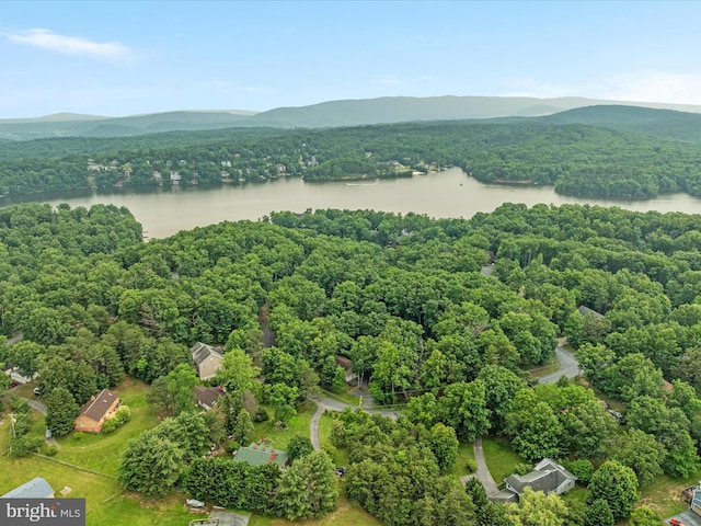 237 Lakeview Dr, Cross Junction, VA 22625 - aerial view of a water and mountain view