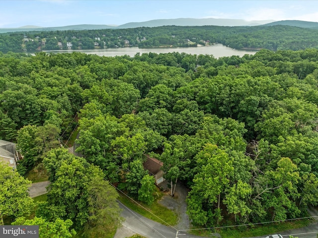 237 Lakeview Dr, Cross Junction, VA 22625 - aerial view of a water and mountain view