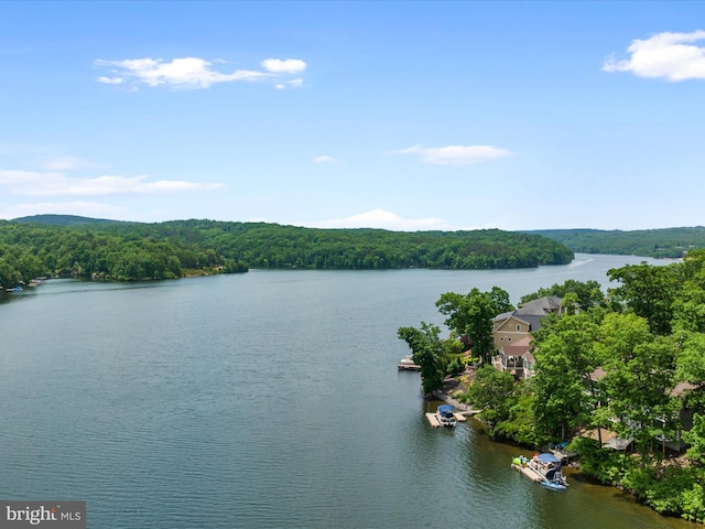 237 Lakeview Dr, Cross Junction, VA 22625 - water view with a heavily wooded area