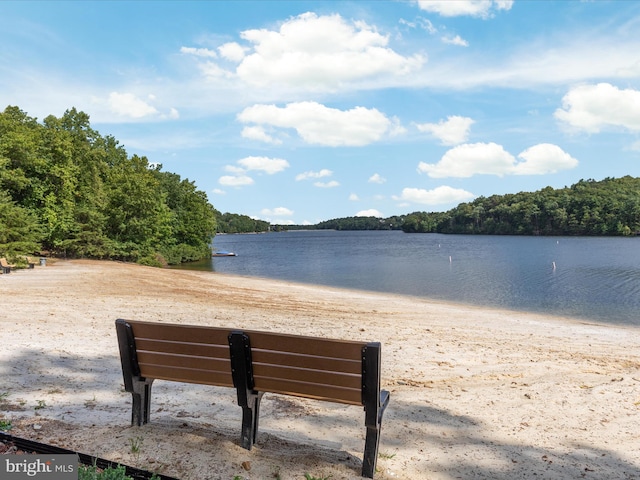 237 Lakeview Dr, Cross Junction, VA 22625 - water view with a heavily wooded area