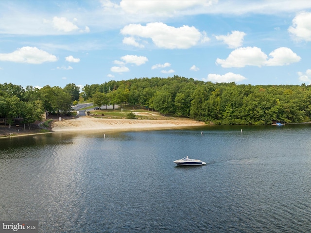 237 Lakeview Dr, Cross Junction, VA 22625 - water view
