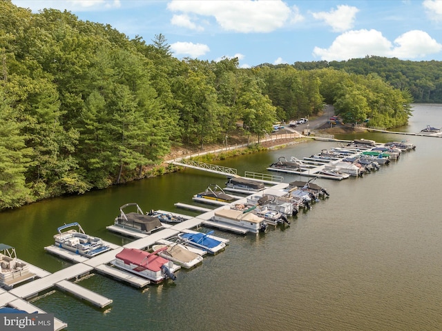 237 Lakeview Dr, Cross Junction, VA 22625 - dock area featuring a forest view and a water view