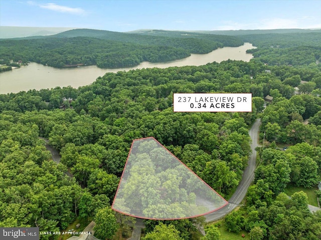 237 Lakeview Dr, Cross Junction, VA 22625 - aerial view of property and surrounding area with a nearby body of water and property parcel outlined