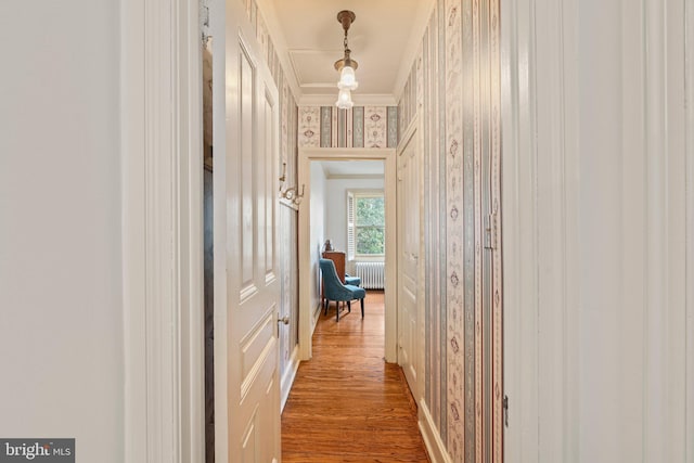 2116 Green St, Philadelphia, PA 19130 - corridor with radiator heating unit, ornamental molding, wood finished floors, and wallpapered walls