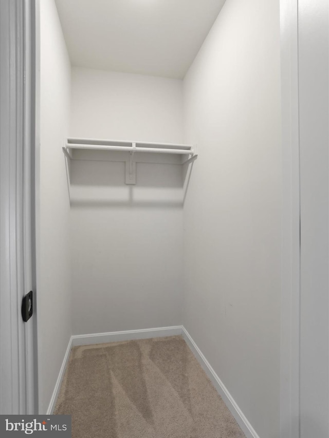 76 Diving Scaup Rd, Hedgesville, WV 25427 - spacious closet with carpet