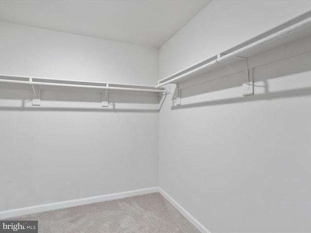 76 Diving Scaup Rd, Hedgesville, WV 25427 - walk in closet featuring carpet flooring