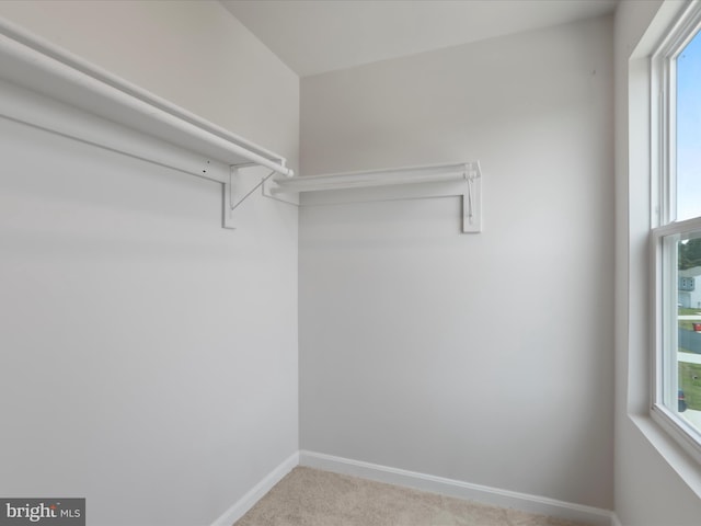 76 Diving Scaup Rd, Hedgesville, WV 25427 - walk in closet featuring carpet floors