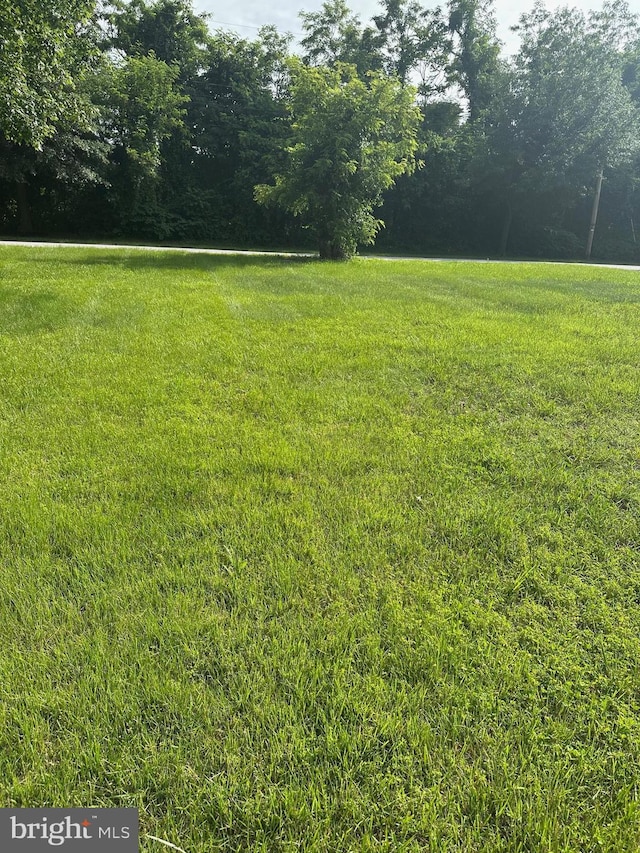 7935 Freetown Rd, Glen Burnie, MD 21060 - view of green lawn